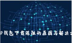 : TP钱包下载遇阻的原因与