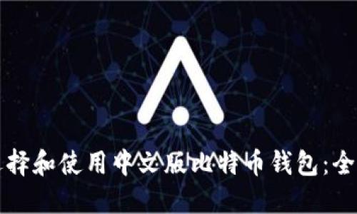 如何选择和使用中文版比特币钱包：全面指南