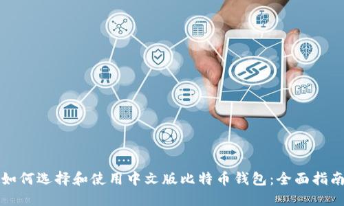 如何选择和使用中文版比特币钱包：全面指南