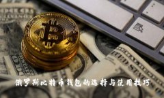 俄罗斯比特币钱包的选择