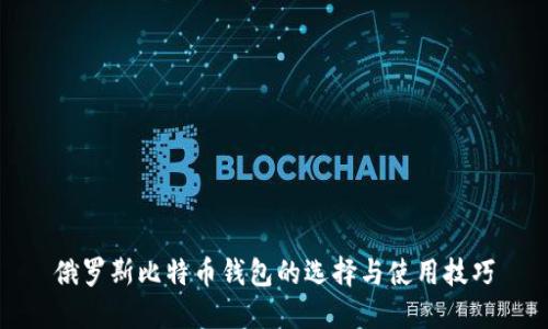 俄罗斯比特币钱包的选择与使用技巧