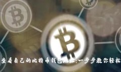 如何查看自己的比特币钱