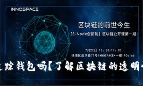 比特币能追踪钱包吗？了解区块链的透明性与隐私性