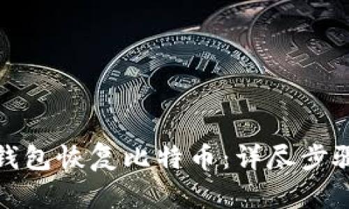 如何通过纸钱包恢复比特币：详尽步骤与实用技巧