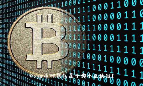 Doge币TP钱包属于哪个区块链？