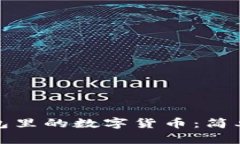 如何查看虚拟钱包里的数