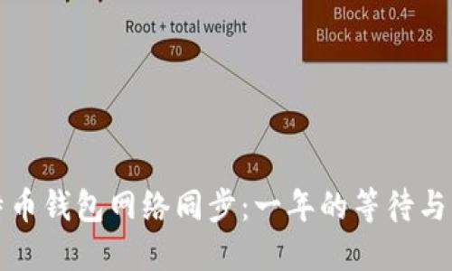比特币钱包网络同步：一年的等待与见证