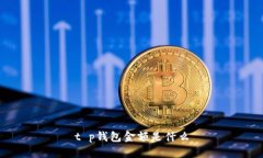 t p钱包金额是什么
