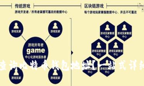 如何查询比特币钱包地址？一站式详细指南