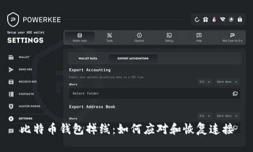 比特币钱包掉线：如何应对和恢复连接