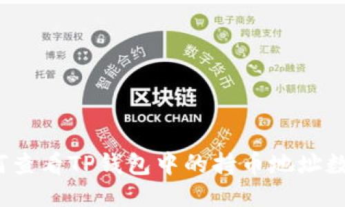如何查看TP钱包中的持币地址数量？
