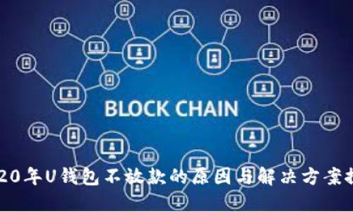 2020年U钱包不放款的原因与解决方案探讨