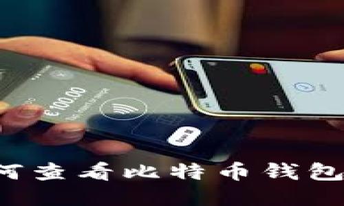 大陆用户如何查看比特币钱包地址与余额？