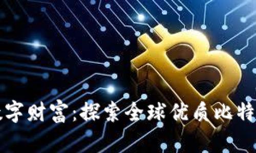 跨越国界的数字财富：探索全球优质比特币钱包客户端