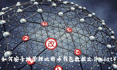 如何安全地管理比特币钱包数据文件（.dat）