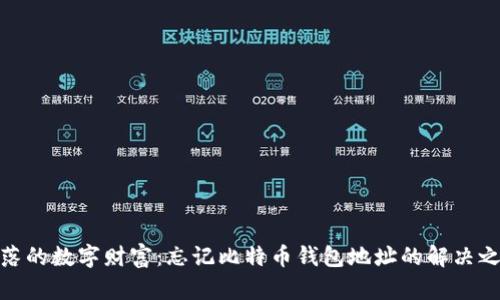 失落的数字财富：忘记比特币钱包地址的解决之道
