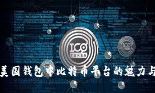 探索美国钱包中比特币平台的魅力与潜力