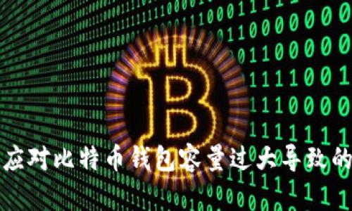 如何应对比特币钱包容量过大导致的问题
