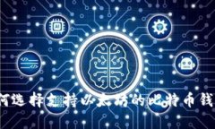 如何选择支持以太坊的比特币钱包？