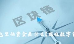 区块链钱包里的资金是什么？揭晓数字货币的秘