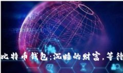 十年未动的比特币钱包：沉睡的财富，等待唤醒