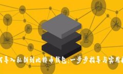 如何导入私钥到比特币钱包：一步步指导与实用