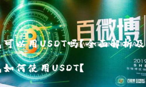 极客钱包可以用USDT吗？全面解析及使用指南

极客钱包如何使用USDT？