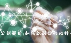 比特币钱包公钥解析：如何识别你的比特币钱包
