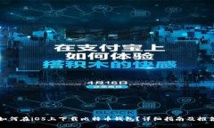 如何在iOS上下载比特币钱包？详细指南及推荐