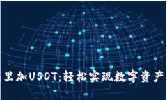 如何在钱包里加USDT：轻松实现数字资产的安全存