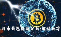 深入探讨比特币钱包数据分析：解读数字货币的