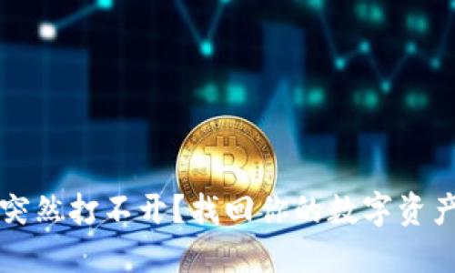 区块链钱包突然打不开？找回你的数字资产的解决方案