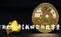 区块链钱包突然打不开？找回你的数字资产的解