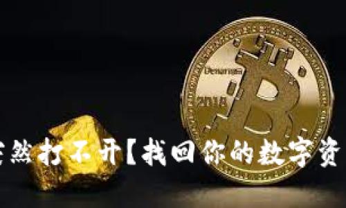 区块链钱包突然打不开？找回你的数字资产的解决方案