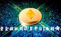 如何将TP钱包资金提现到欧