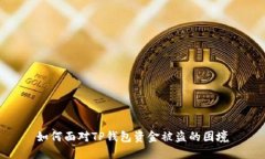 如何面对TP钱包资金被盗的