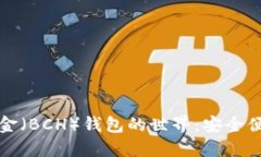深入探索比特币现金（B
