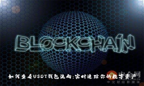 如何查看USDT钱包流向：实时追踪你的数字资产