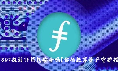  USDT提到TP钱包安全吗？你的数字资产守护指南