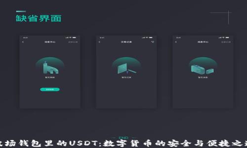 
波场钱包里的USDT：数字货币的安全与便捷之道