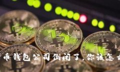 比特币钱包公司倒闭了，