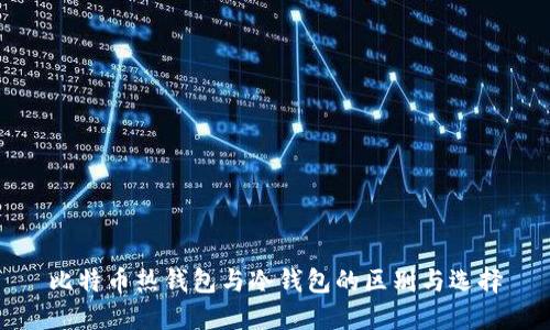 比特币热钱包与冷钱包的区别与选择