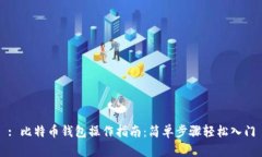 : 比特币钱包操作指南：简